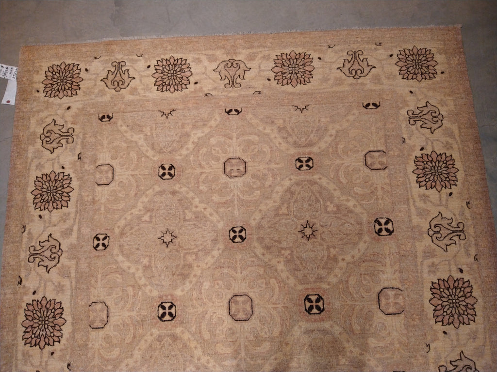 6 x 9 New Handmade rug Transitional Neutral Decorative #5370