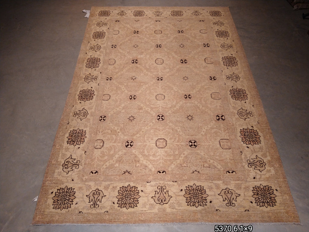 6 x 9 New Handmade rug Transitional Neutral Decorative #5370