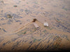 Load image into Gallery viewer, Authentic-Hand-Knotted-Contemporary-Rug.jpg