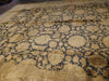 Load image into Gallery viewer, Fine-Quality-Jaipour-Rug.jpg