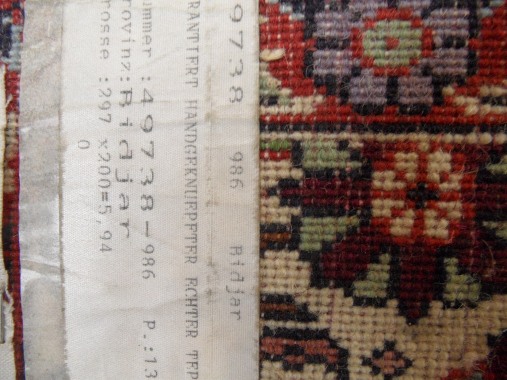 6.7 x 9.9 Red Persian Bijar Rug 364