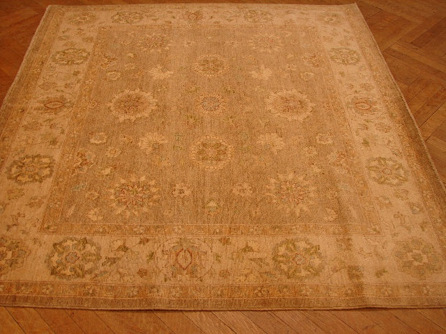 5.5 x 5.11 Neutral Sage natural Quality Chobi Peshawar Rug #PIX-13478