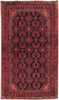 Load image into Gallery viewer, Authentic-Persian-Hamadan-Rug.jpg