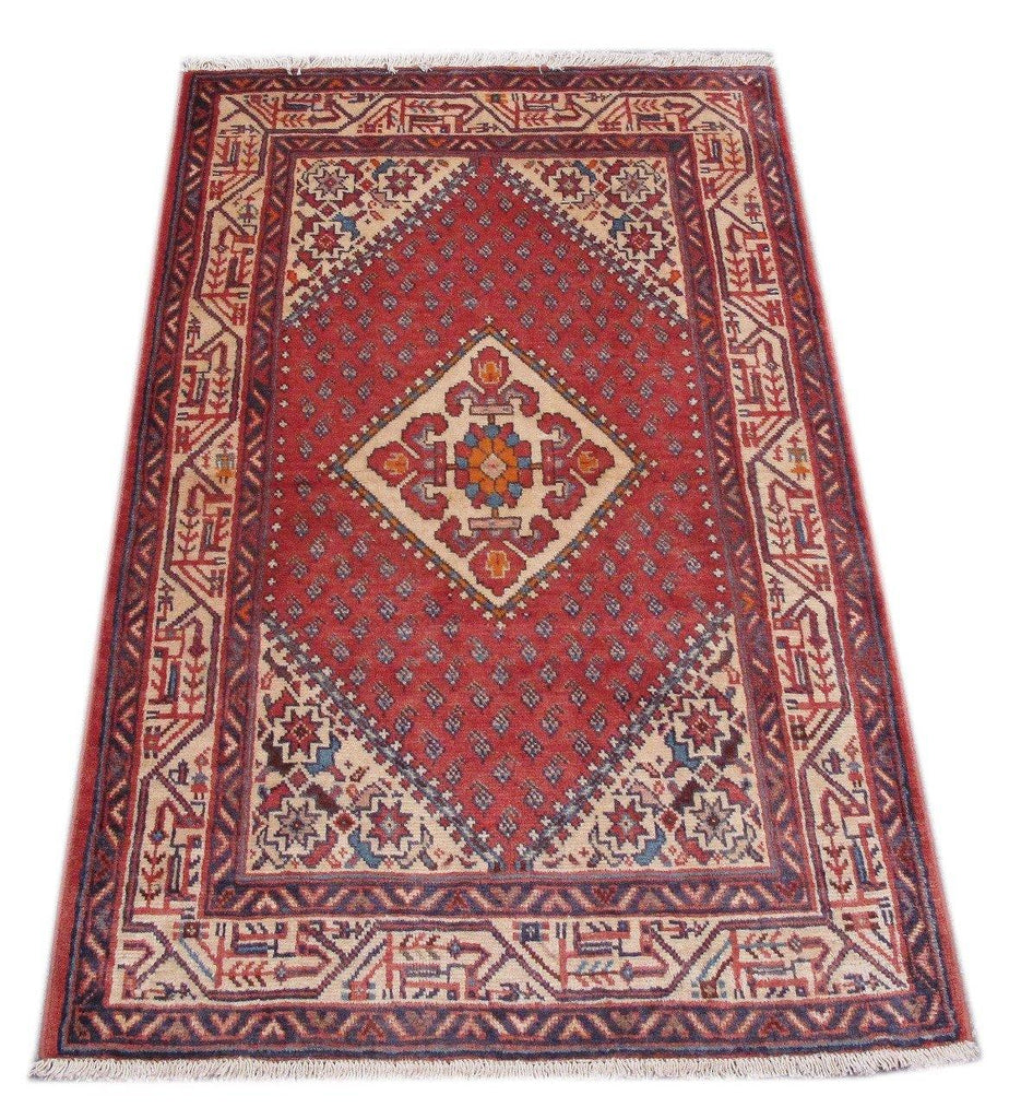 Luxurious 3x6 Authentic Hand-knotted Persian Hamadan Rug - Iran - bestrugplace