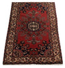 Load image into Gallery viewer, Persian-Traditional-Hamadan-Area-Rug.jpg