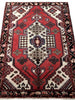 Load image into Gallery viewer, Luxurious-Authentic-Persian-Hamadan-Rug.jpg