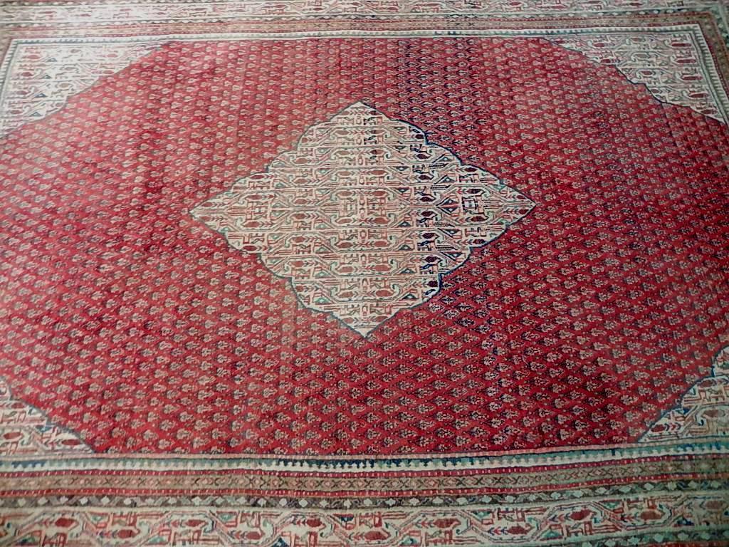 7x11 Authentic Hand Knotted Persian Mir Sarouk Rug - Iran - bestrugplace