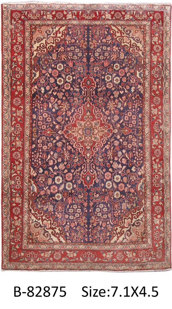 Luxurious 5x7 Authentic Hand-knotted Persian Hamadan Rug - Iran - bestrugplace