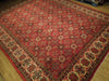 Load image into Gallery viewer, Semi-Antique-Persian-Varamin-Rug.jpg