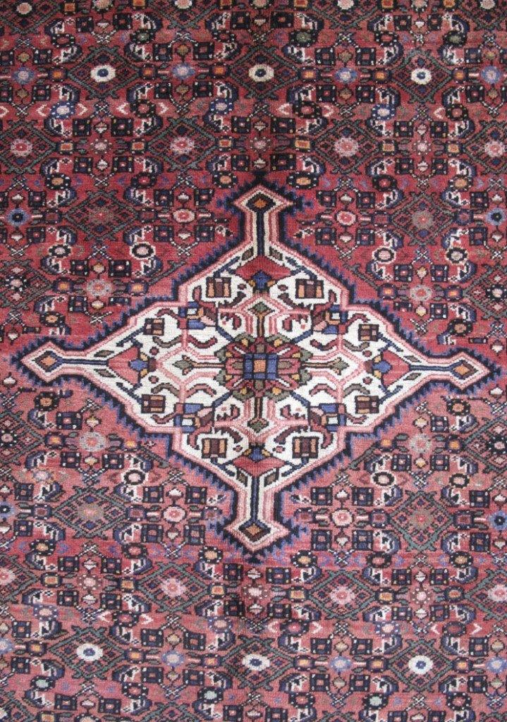 7x10 Authentic Hand-knotted Persian Hamadan Rug - Iran - bestrugplace