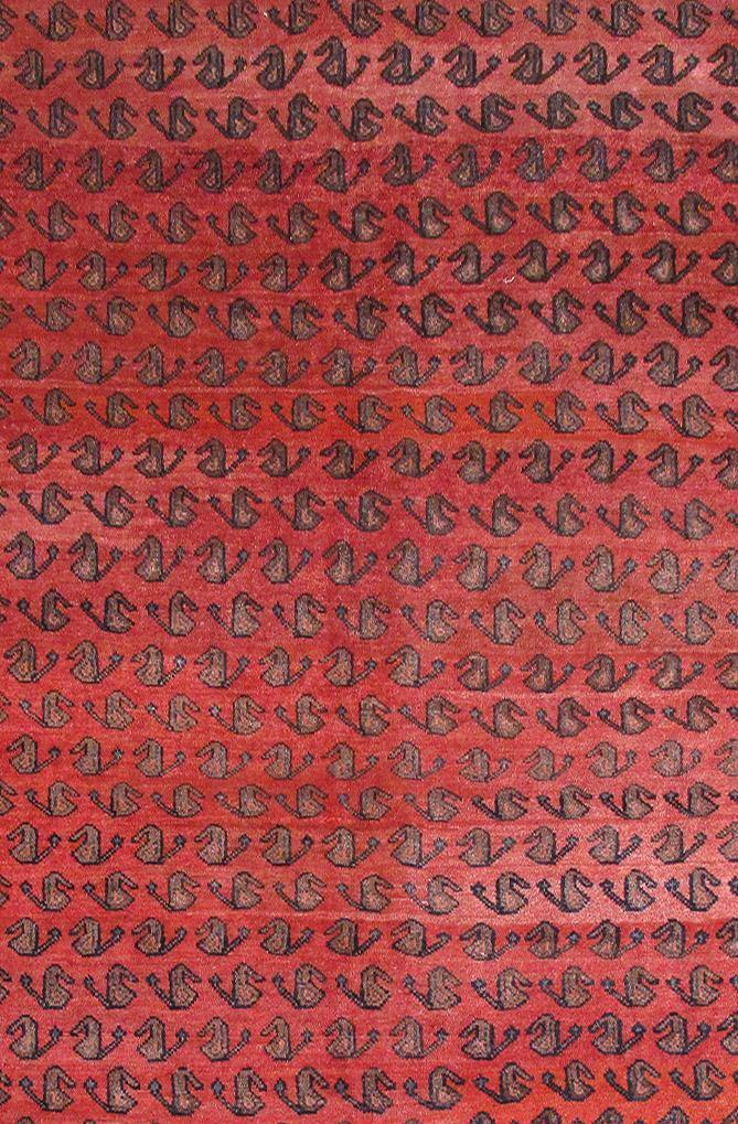 Luxurious 5x10 Authentic Hand-knotted Persian Hamadan Rug - Iran - bestrugplace