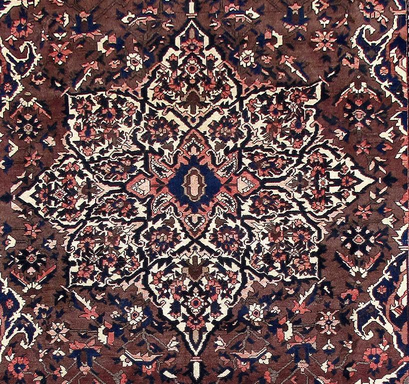 8.8 x 11.8 Handmade Brown Authentic Persian Bakhtiari Rug 80844
