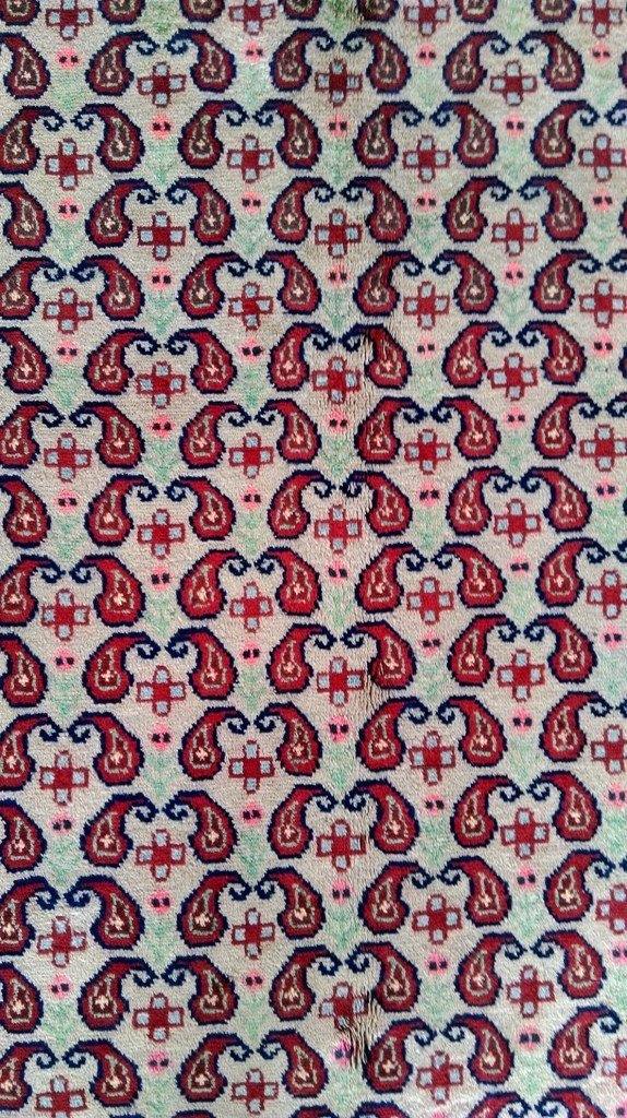 5x10 Authentic Hand Knotted Persian Hamadan Rug - Iran - bestrugplace