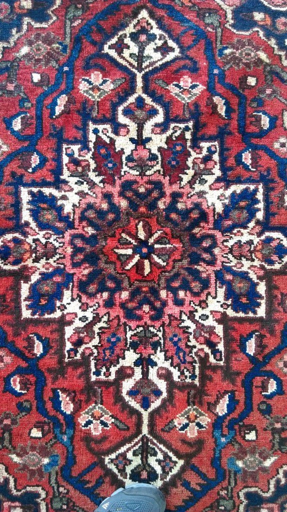 Luxurious-Authentic-Persian-Bakhtiari-Rug.jpg