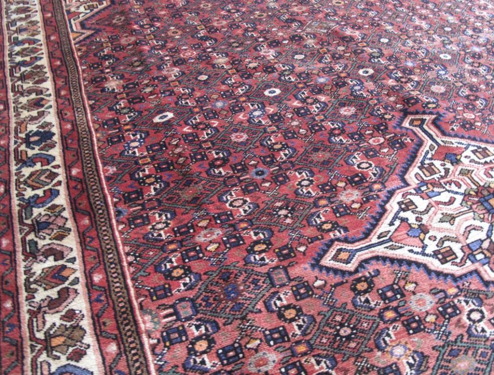 7x10 Authentic Hand-knotted Persian Hamadan Rug - Iran - bestrugplace