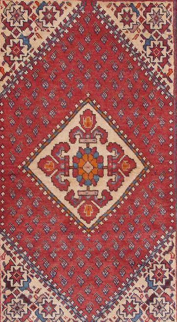 Luxurious 3x6 Authentic Hand-knotted Persian Hamadan Rug - Iran - bestrugplace