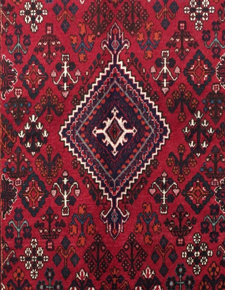 5x7 Authentic Hand-knotted Persian Josheghan Rug - Iran - bestrugplace