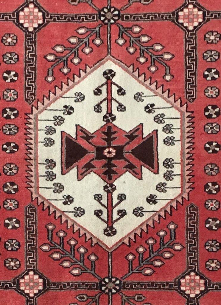 5x9 Authentic Hand-knotted Persian Hamadan Rug - Iran - bestrugplace