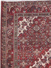 Load image into Gallery viewer, Authentic-Persian-Zanjan-Rug.jpg