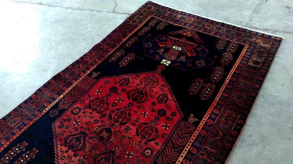 5x9 Authentic Hand Knotted Persian Hamadan Rug - Iran - bestrugplace
