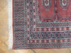 Load image into Gallery viewer, Luxurious Hand-knotted Mori Bokhara Rug.jpg