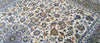 Load image into Gallery viewer, Authentic-Persian-Kashan-Rug.jpg