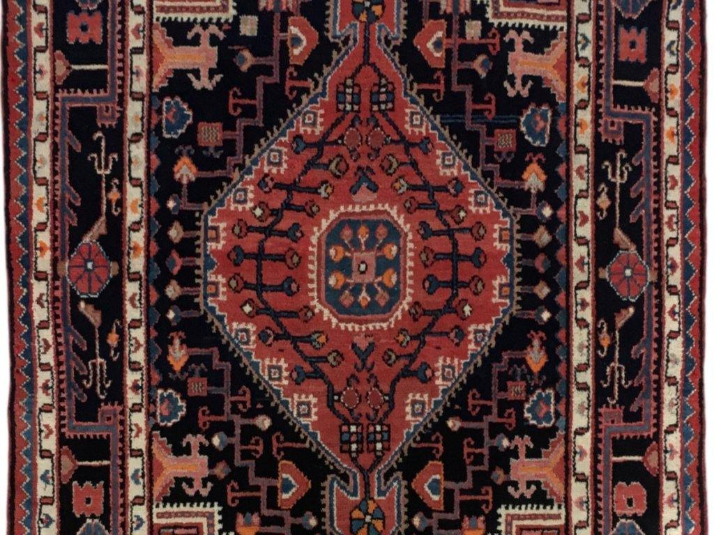 Luxurious Persian Hamadan Rug.jpg